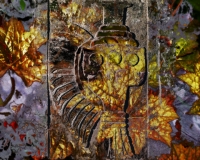 Lisa Lazzarini, frame from the video In Xōchitl In Cuīcatl, 2008