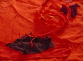 1/4 - study for red micro-painting